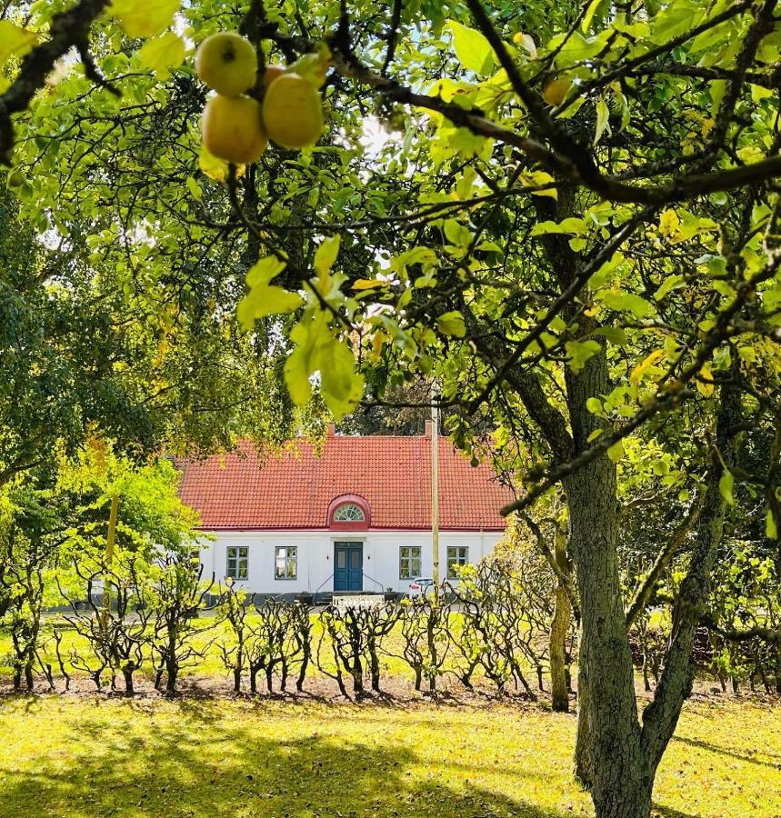 Aespoegarden Bed & Breakfast Klagstorp Zewnętrze zdjęcie