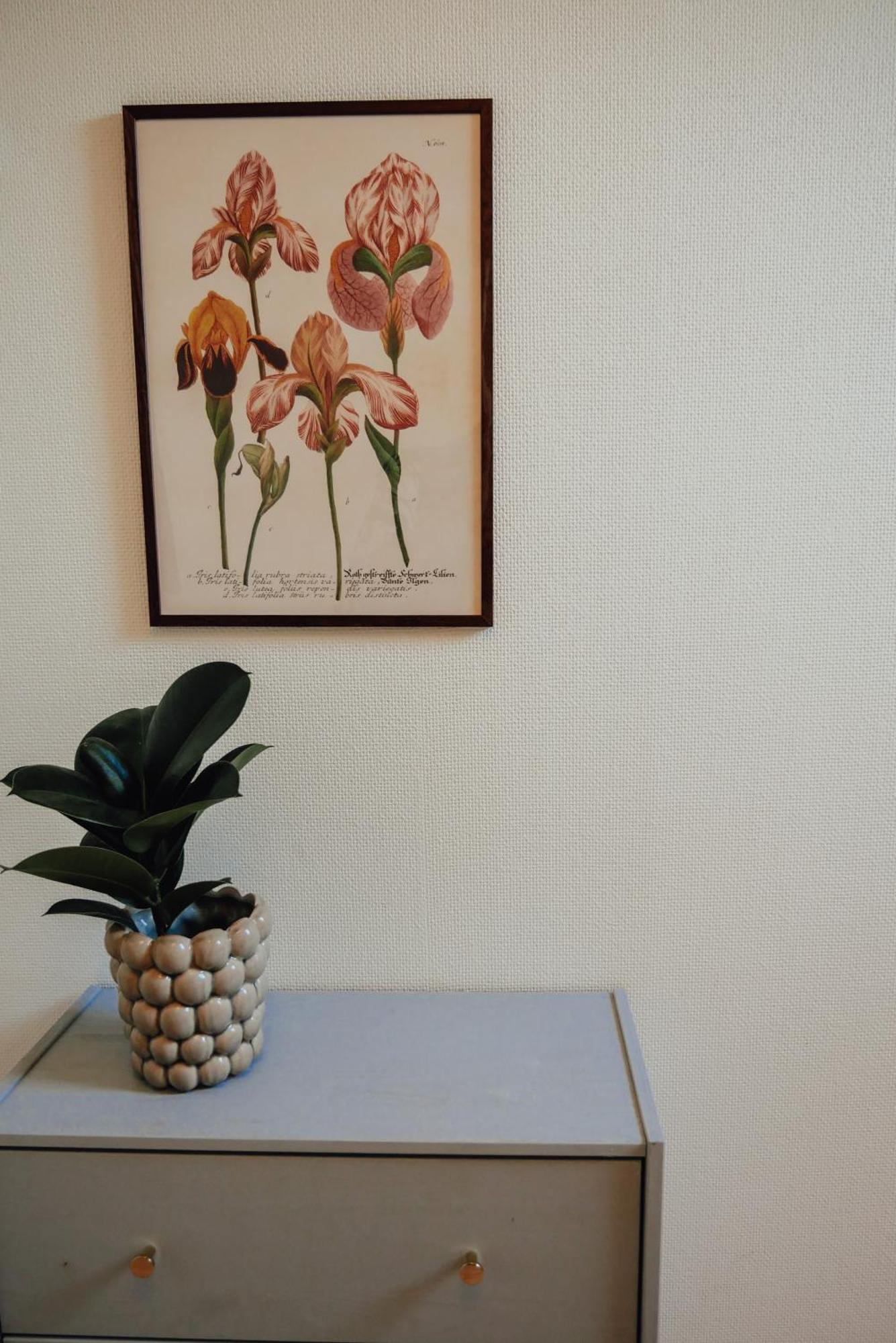 Aespoegarden Bed & Breakfast Klagstorp Zewnętrze zdjęcie