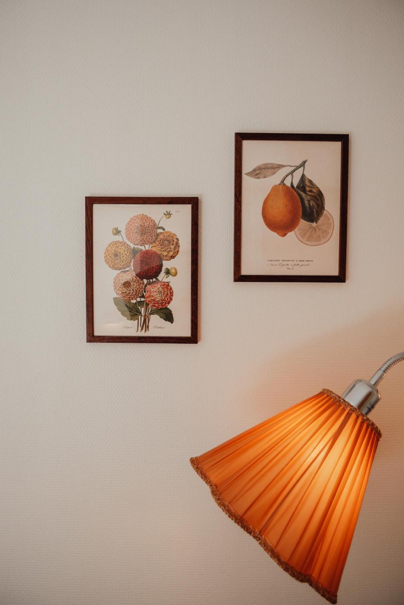 Aespoegarden Bed & Breakfast Klagstorp Zewnętrze zdjęcie