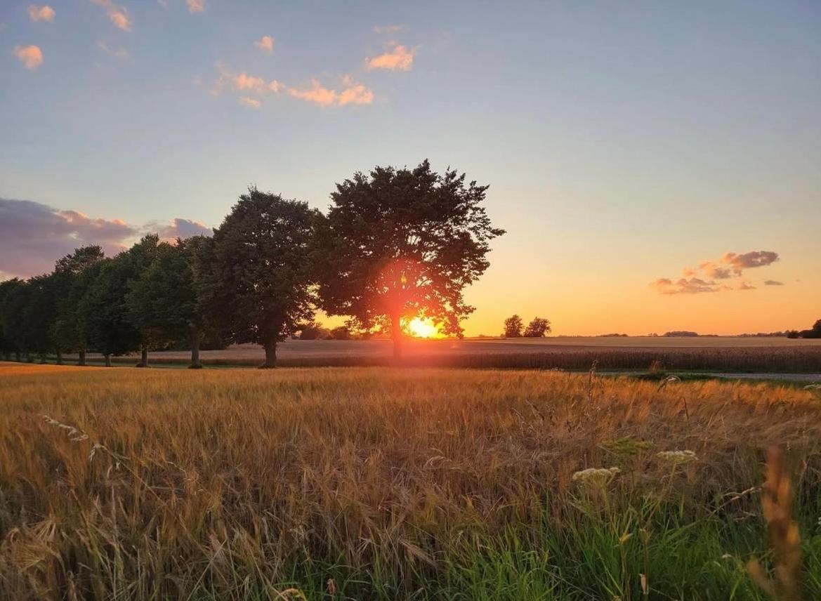 Aespoegarden Bed & Breakfast Klagstorp Zewnętrze zdjęcie
